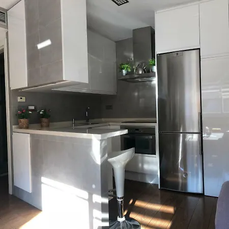 Luxury Playamar Apartment